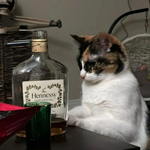 تصویر پروفایل سینا